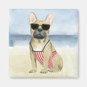 Aimant Chiot du hot-dog   dans des lunettes de soleil à