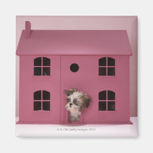 Aimant Chiot sortant de la maison de poupée