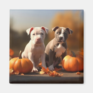 Aimant Chiots Pitbull Délice d'Automne Citrouille
