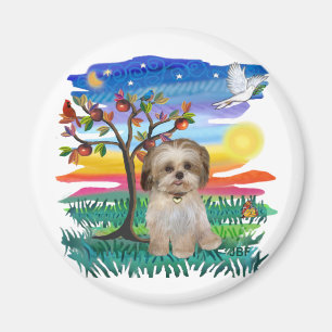 Aimant Chiots Shih Tzu #2