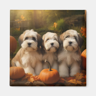 Aimant Chiots Terrier Tibétain Délice d'Automne Citrouill