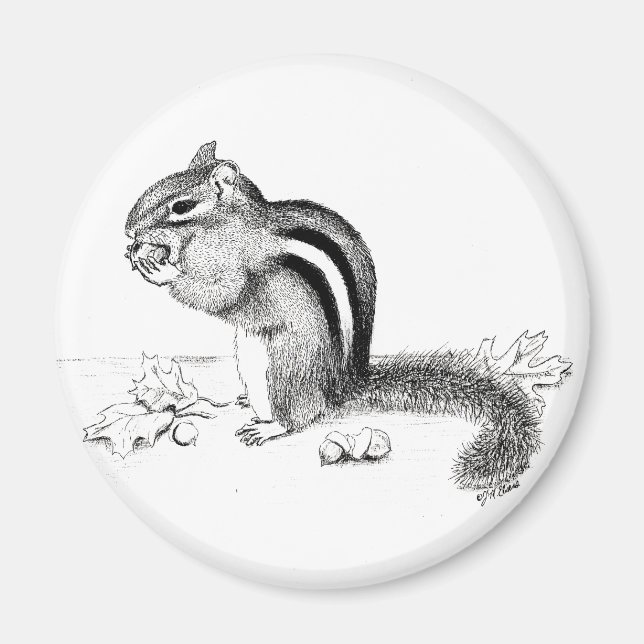 Aimant Chipmunk (Devant)