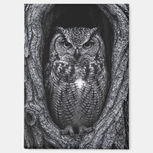 Aimant Chouette dans un arbre noir et blanc