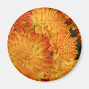 Aimant Chrysanthèmes orange Fire