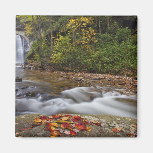 Aimant chute de Looking Glass dans le parc national Pisga