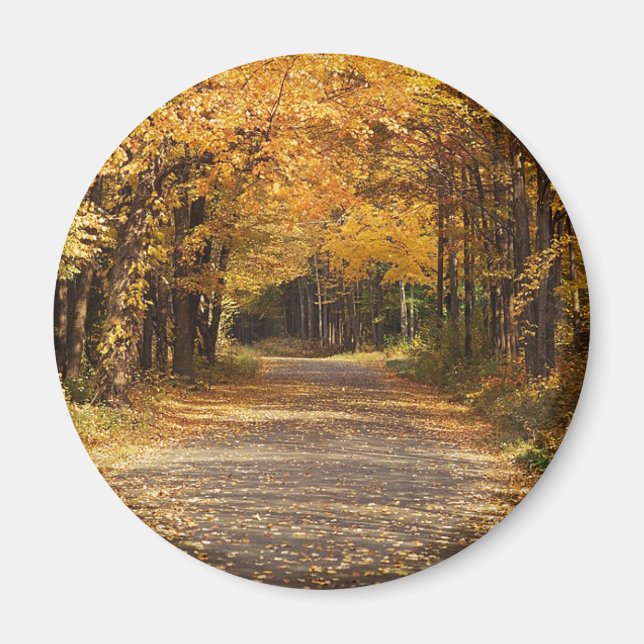 Aimant Chute des Feuilles (Devant)