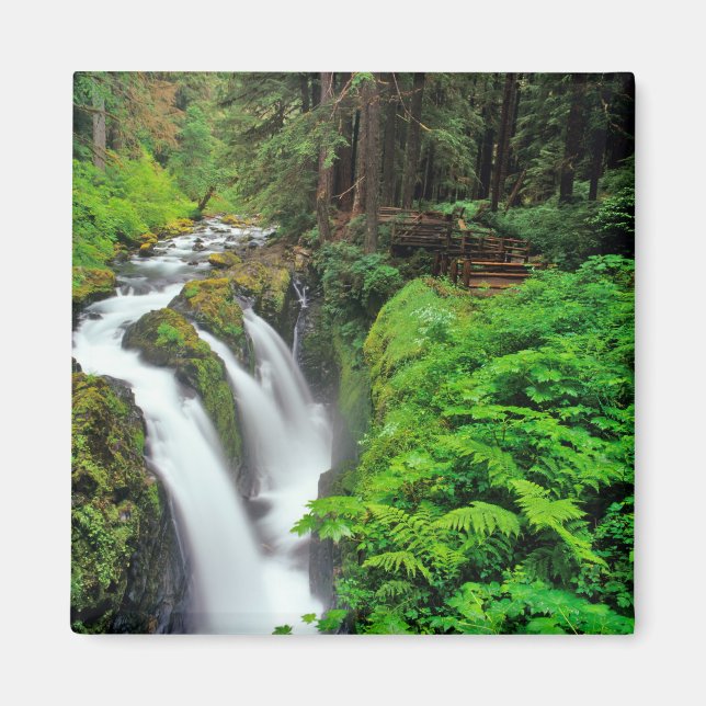 Aimant Chutes Sol Duc dans le parc national olympique à (Devant)