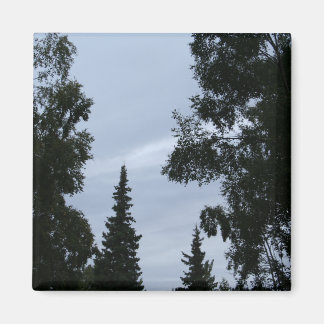 Aimant Ciel de l'Alaska