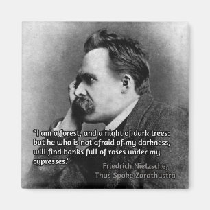 Aimant Citation de Nietzsche sur l'obscurité