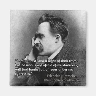 Aimant Citation de Nietzsche sur l'obscurité