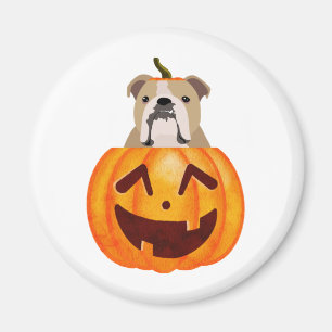 Aimant Citrouille Bulldog