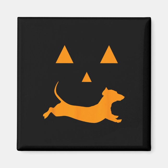 Aimant Citrouille d'Halloween Dachshund Jack-o-lantern Co (Devant)