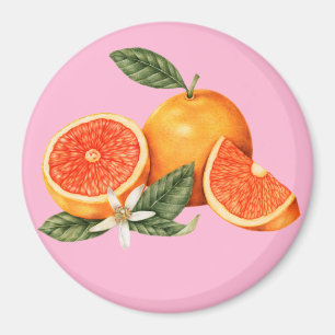 Aimant Citrus
