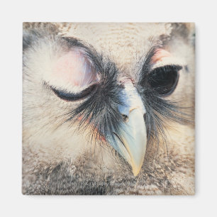 Aimant Cligner de l'oeil le hibou