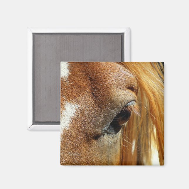 Aimant Closeuse des yeux du cheval (Recto/Verso)