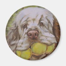 Clumber Spaniel