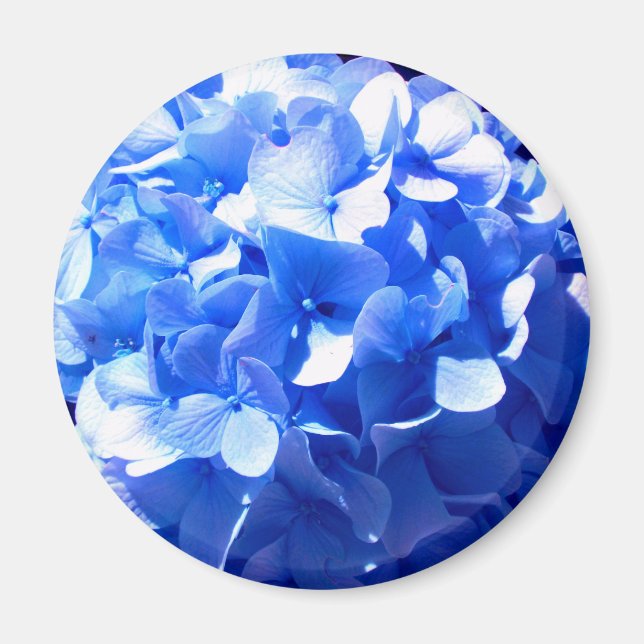 Aimant Cobalt Blue Hydrangea (Devant)