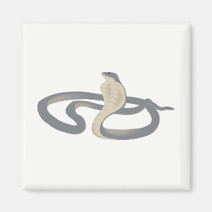Aimant Cobra
