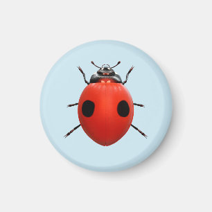 Aimant Coccinelle Chanceuse