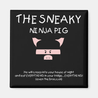 Aimant Cochon Ninja épineux