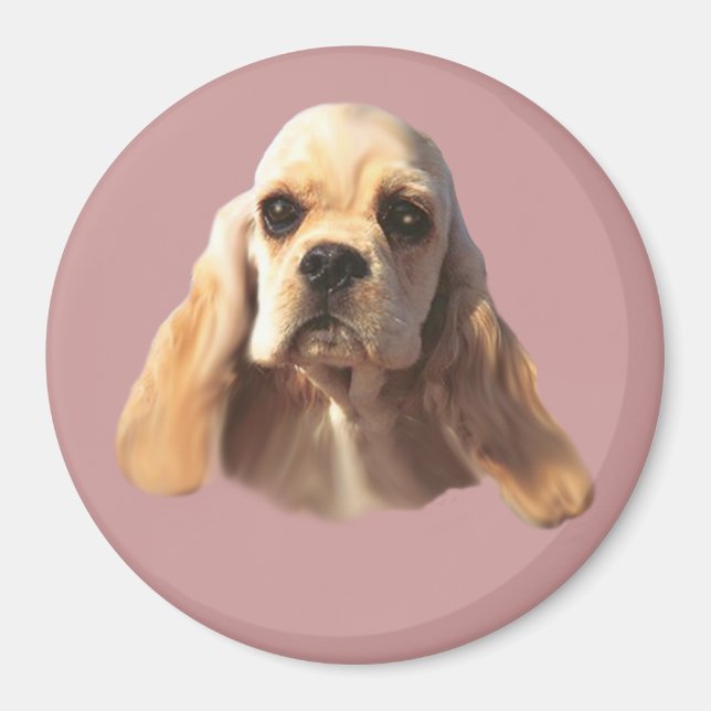 Aimant Cocker Spaniel Blondie (Devant)