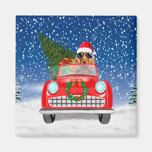 Aimant Cocker Spaniel Chien Conduite Voiture En Noël De N