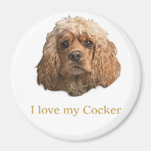 Aimant cocker Spaniels