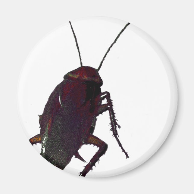 Aimant Cockroach croquant (Devant)