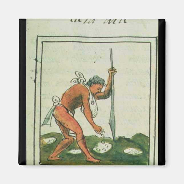 Aimant Codex florentin par Bernardino de Sahagun (Devant)