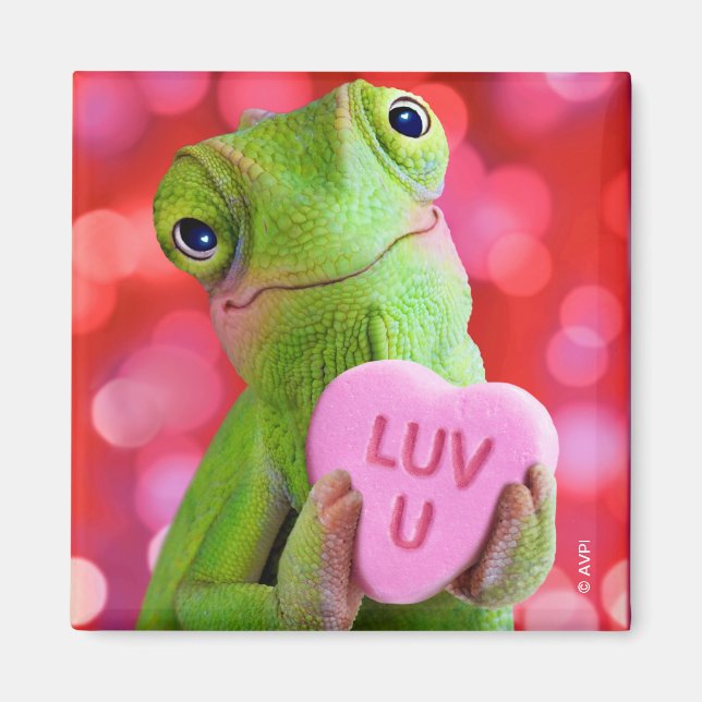 Aimant Cœur de Caméléon (Amour de toi) (Devant)