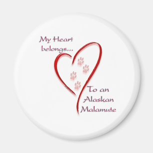 Aimant Coeur malamué de l'Alaska
