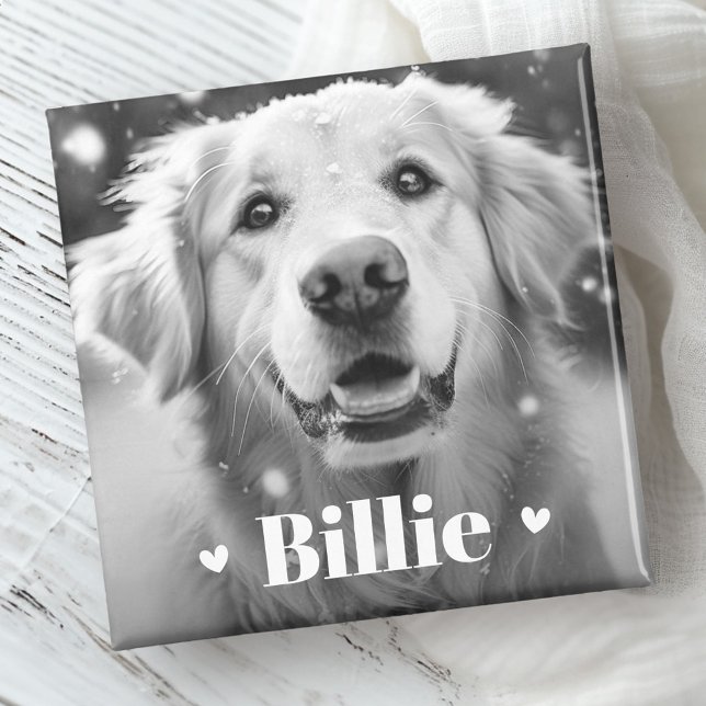 Aimant Coeurs de nom de chat de chien animal (Pet dog cat name hearts magnet)