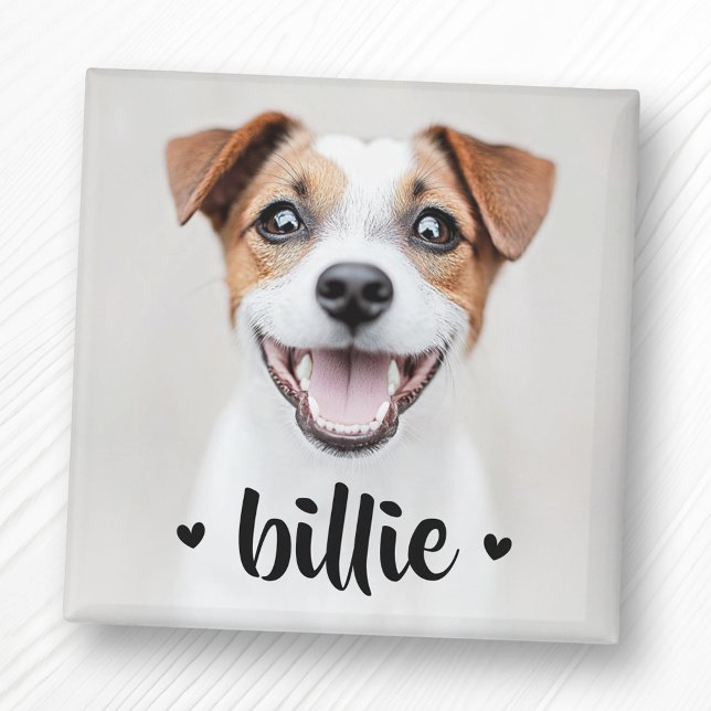 Aimant Coeurs de nom de chat de chien animal (Pet dog cat name hearts magnet)
