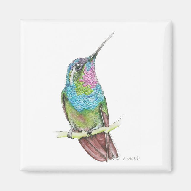 Aimant Colibri (Devant)