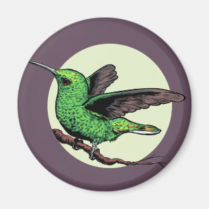 Aimant Colibri