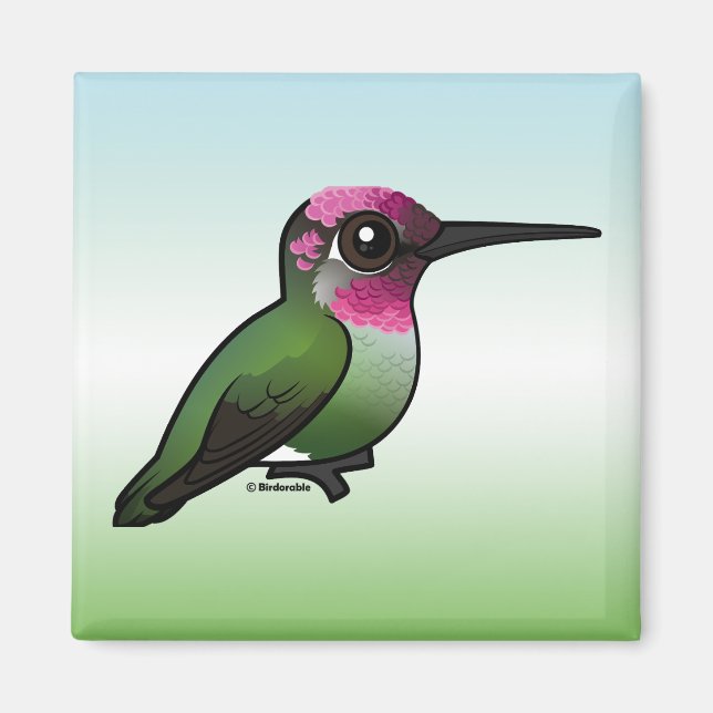 Aimant Colibri d'Anna (Devant)