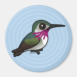 Aimant Colibri de Calliope Birdoré