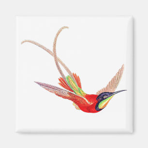Aimant Colibri en vol