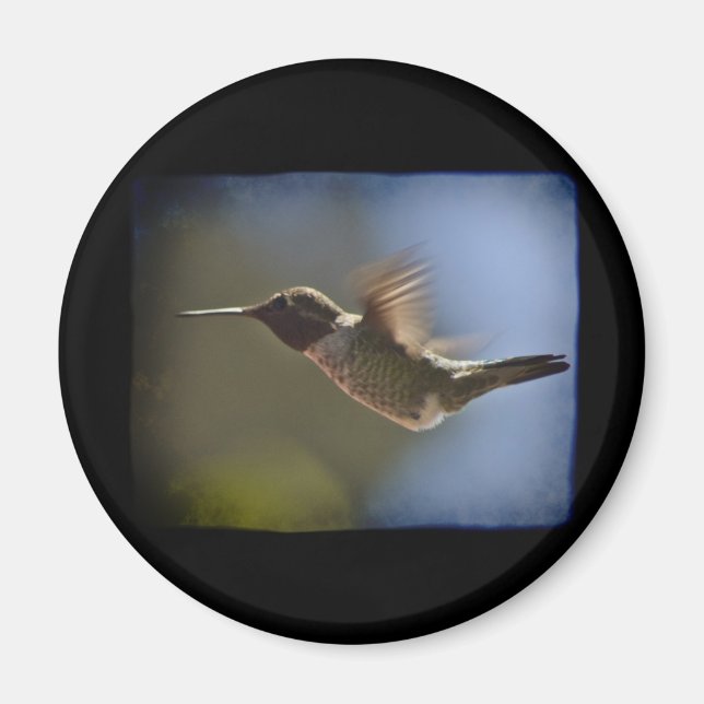 Aimant Colibri en vol (Devant)