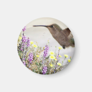Aimant Colibri et Art numérique Fleur sauvage