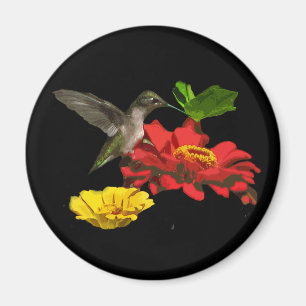 Aimant Colibri et Zinnias