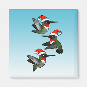 Aimant Colibri Rubis-throated de Noël