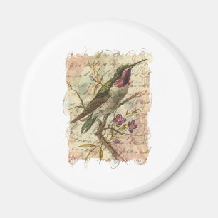 Aimant Colibri vintage