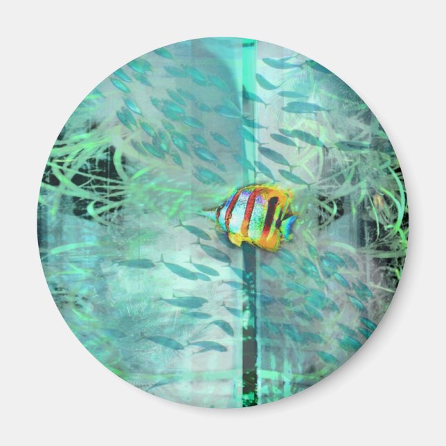 Aimant Collage des poissons anges nage dans une école de  (Devant)