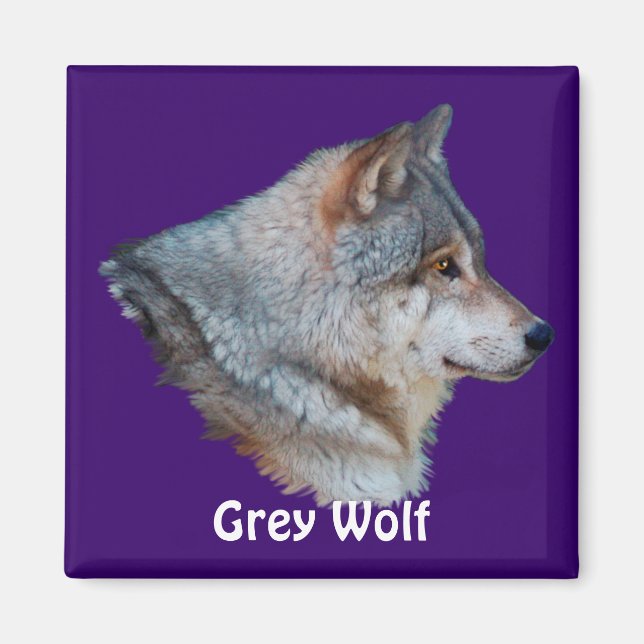 Aimant Collection d'aimants naturels GRAS WOLF (Devant)