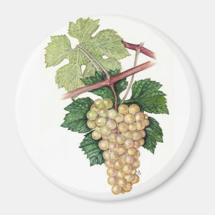 Aimant Collection de Dionysus et de nandou