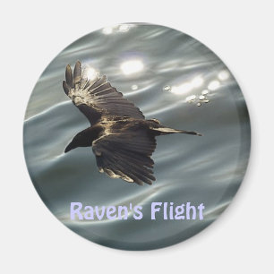 Aimant Collection MAGNETIC