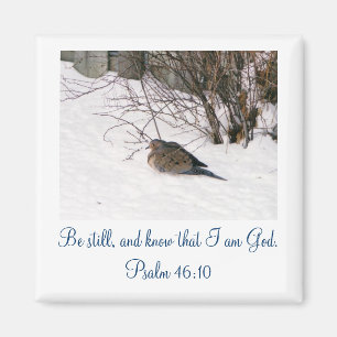 Aimant Colombe dans l'aimant de Scipture de neige