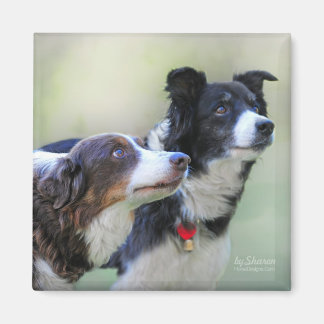 Aimant Colonnes frontalières