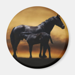 Aimant Colt de maman et de bébé